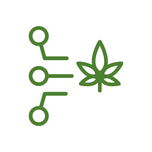 career-coach-illustration-08@2x Plant based medicine Healing with Integrative Counselling SA